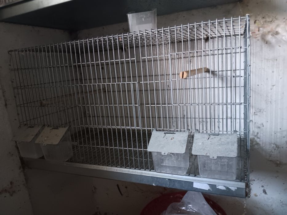 Viveiros para aves