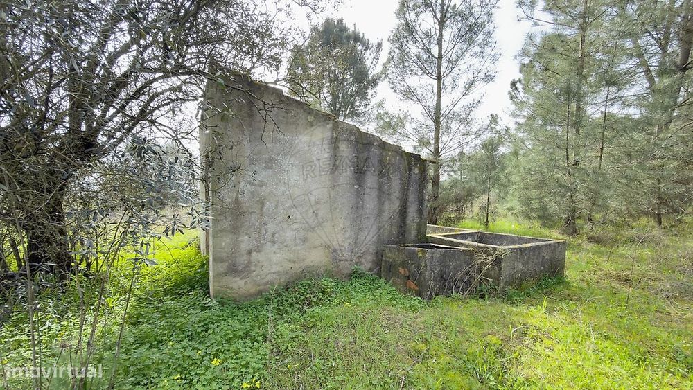 Terreno  para venda — Palmela, Setúbal
