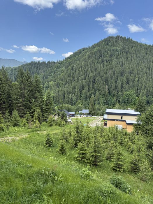 Будинок під лісом 100 відсоткова автономність .