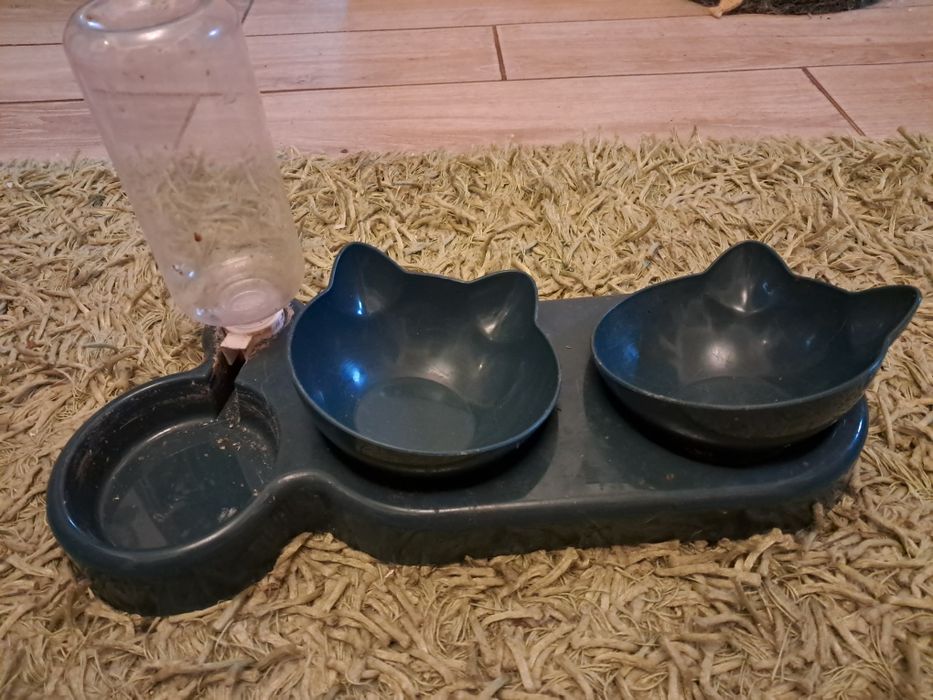 Miski dla kota z poidelkiem
