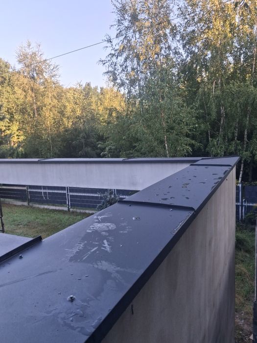 Naprawy przecieki, malowanie dachu,renowacja