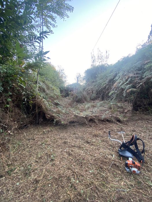 Limpezas e Manutenção de Terrenos
