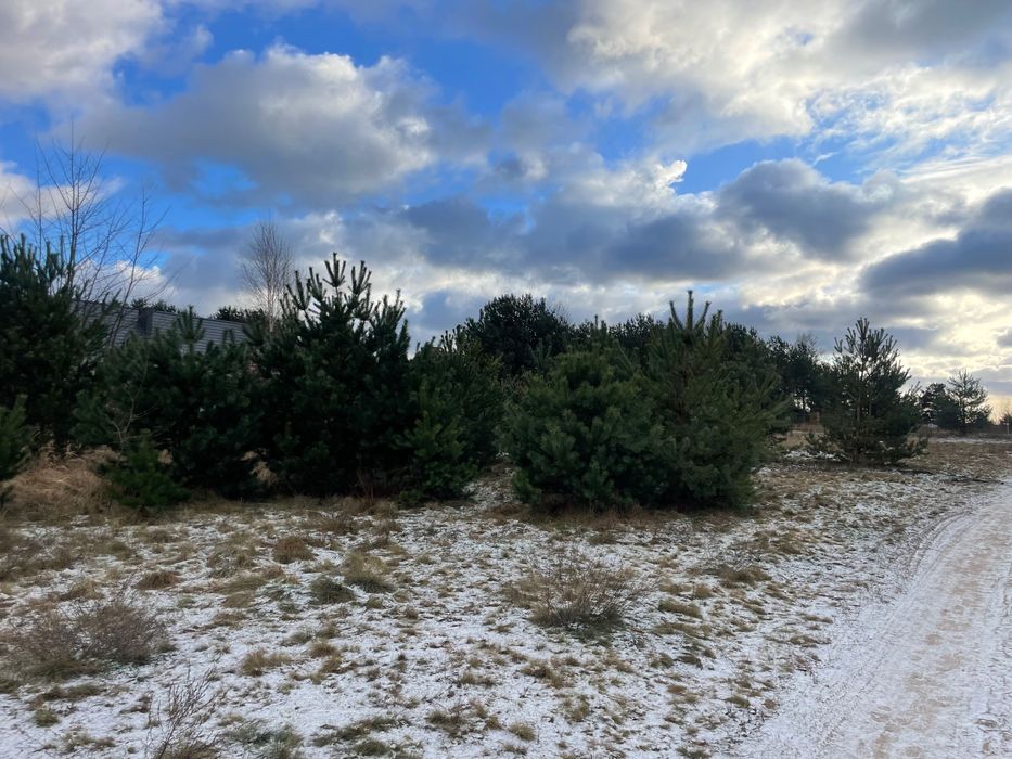 Dom w Słowik/Adolfów Nowy na zamówienie