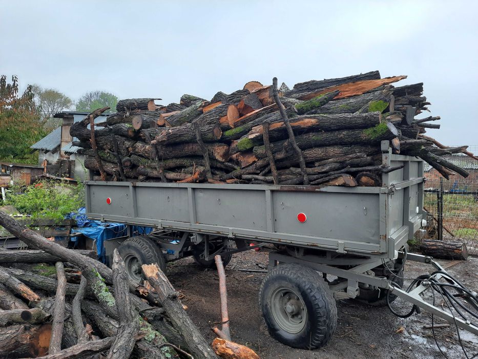 Drzewo drewno kominkowe opał iglaste liściaste