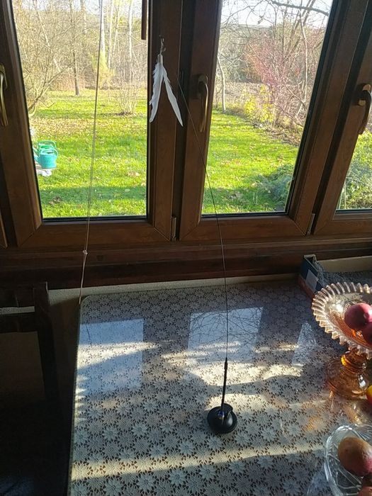 Zabawka dla kota na przyssawce piórko