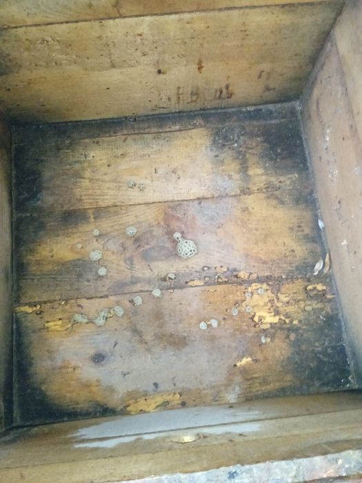 Вуликі дадан б,у