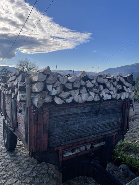 Vendo lenha com quiser