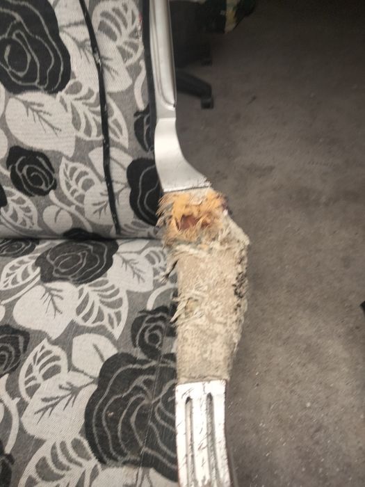 Cadeirão para remodelação