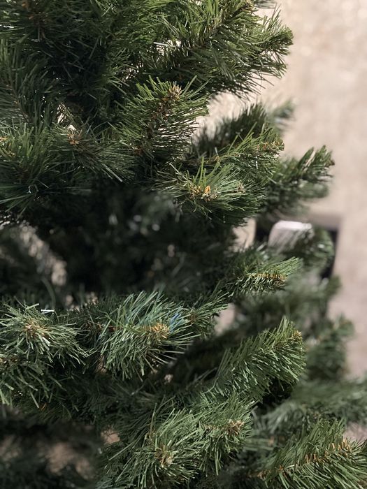 Ялинка декоративна.