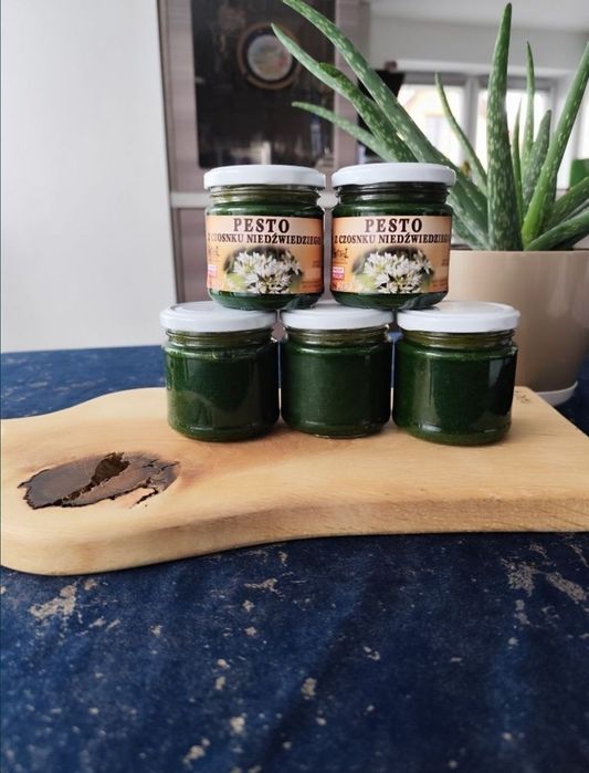 Pesto z czosnku niedźwiedziego 2026r