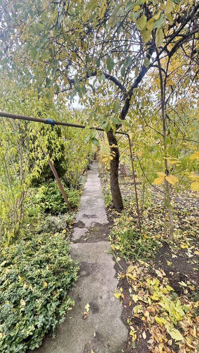 Дача коло Дніпра