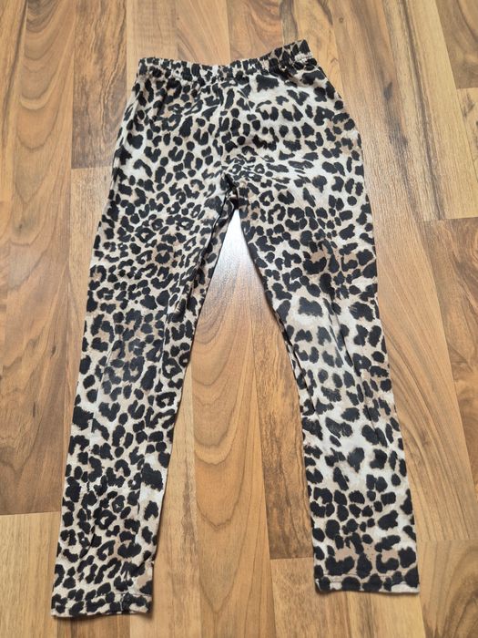 Nowe Legginsy sinsay 116 r panterka