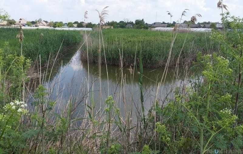 В продаже участок с. Яски, 40 соток .