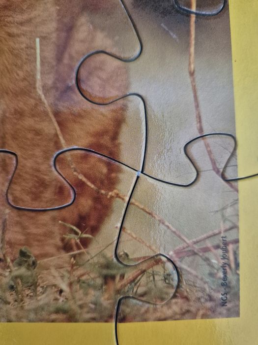 Puzzle National Geographic - Leão