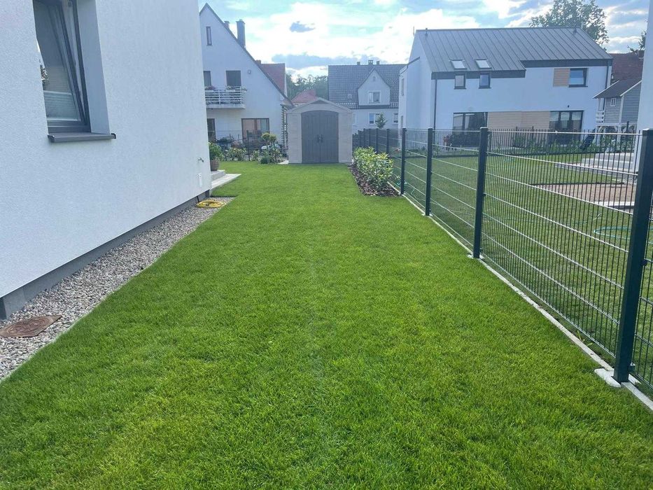 Trawa z rolki / PRODUCENT / Transport