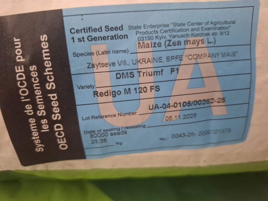 Sprzedam kukurydze odmiana Triumf