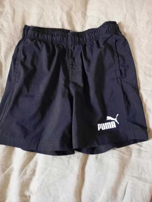 Spodenki krótkie puma