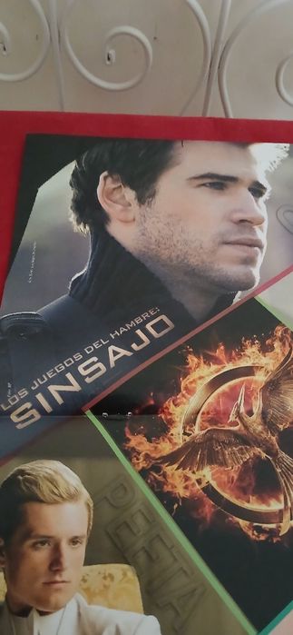 Poster Sinsajo - Katniss e Gale, novo