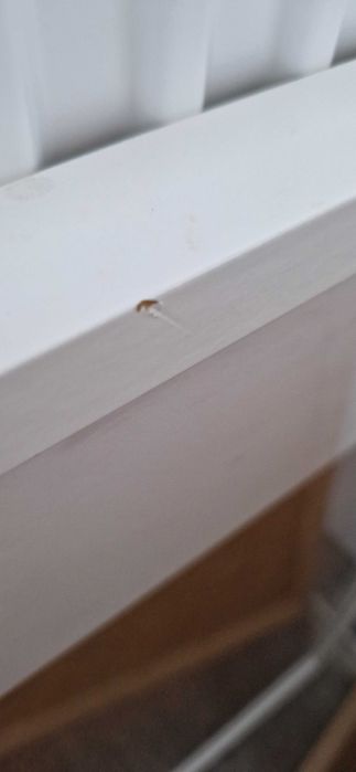 Ramki białe RIBBA IKEA - 180 zł całość