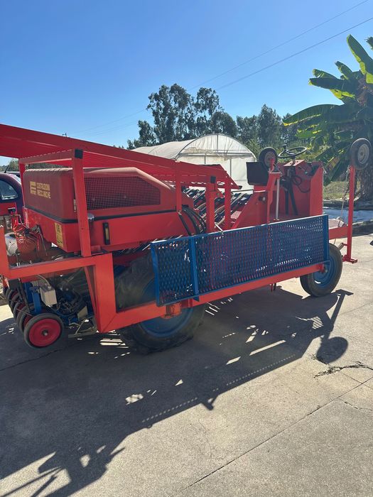 Plantador Ferrari de alfaces