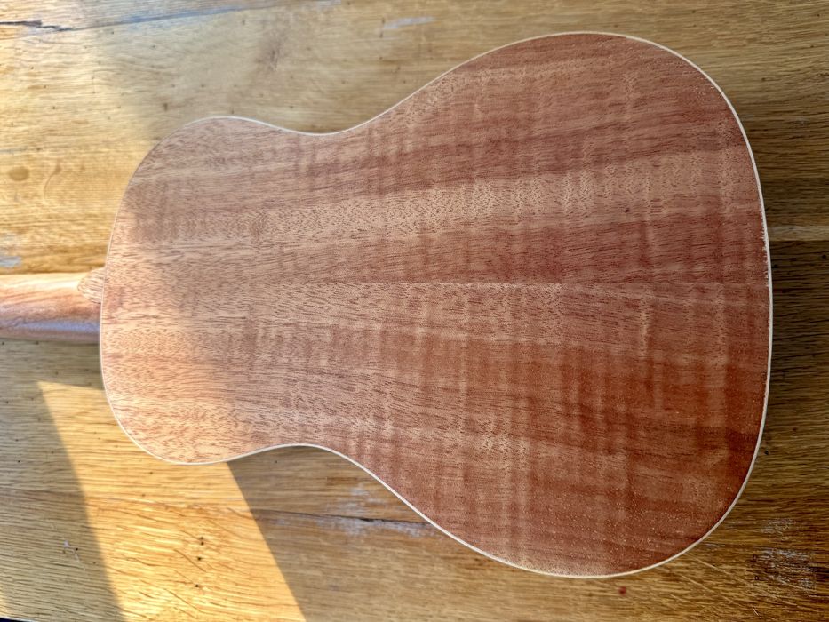 Profesjonalne ukulele Arrius 1500