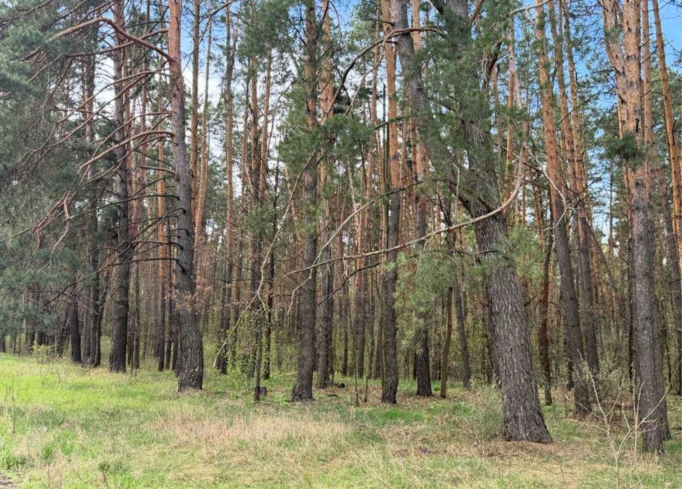 Великий масив землі під Забудову біля Житомирської траси