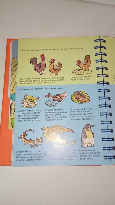 Imagilândia - O meu dicionário em imagens II