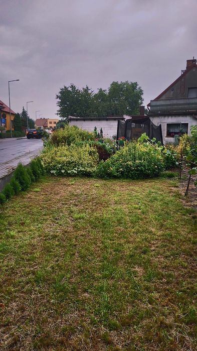 Działka 253 m² w centrum Wolsztyna - zabudowa mieszkaniowo- usługowa