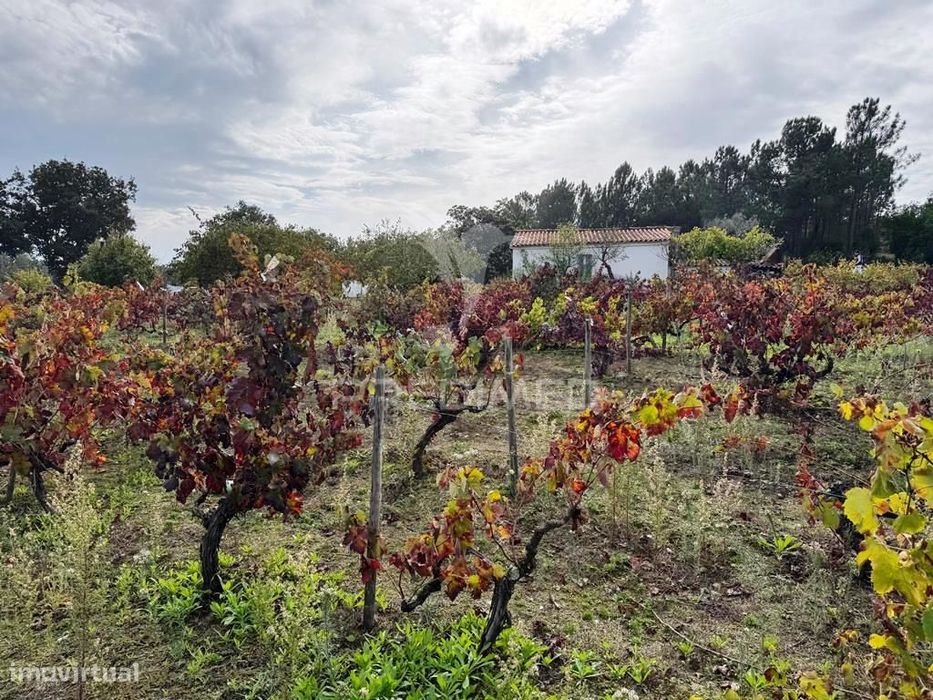 Quinta Rural T4