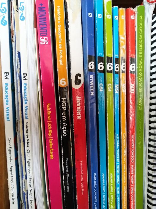 Livros de Fichas 5° e  6° Ano Encapados como Novos.
