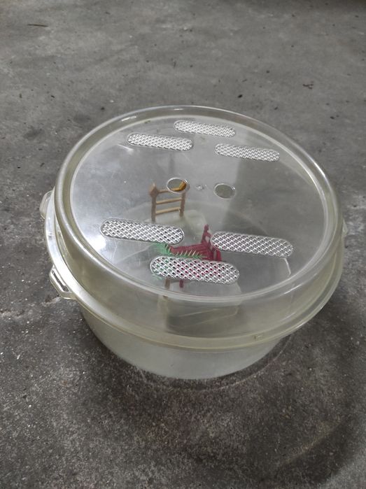 Aquário para tartaruga