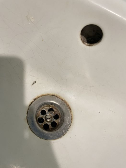 Клінінгова компанія,"Чистий дім"пропонує свої послуги.