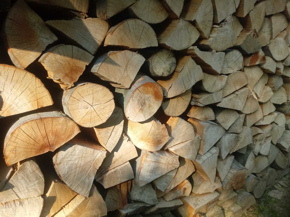 Drewno kominkowe bukowe buk PROMOCJA