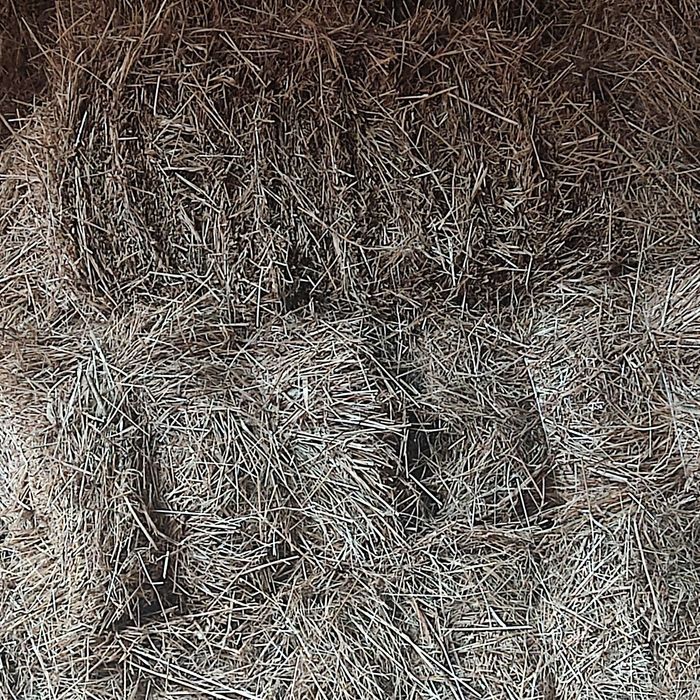 Sprzedam siano  w kostkach