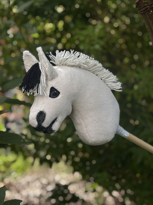Hobby horse fiord