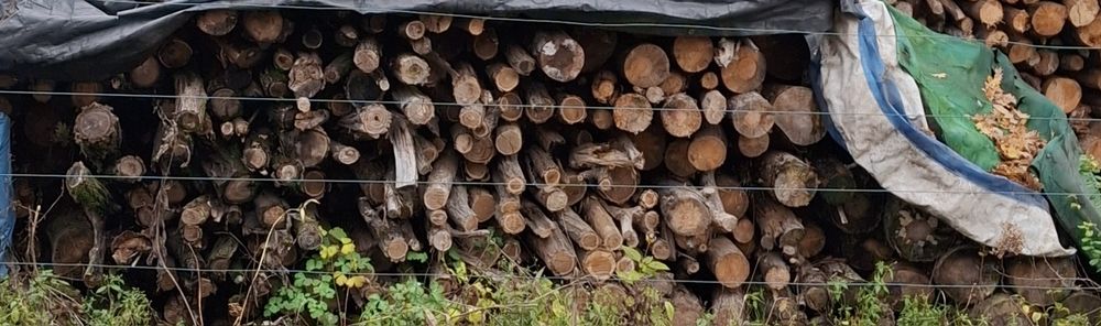 DREWNO  opałowe suche sezonowane