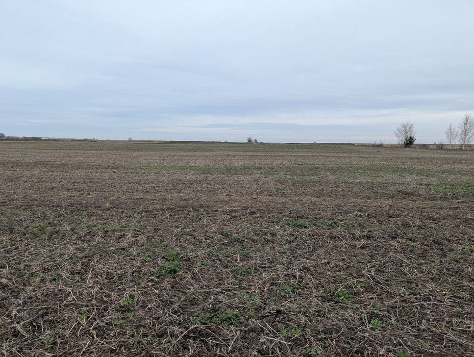 Продаж фасадної земельної ділянки