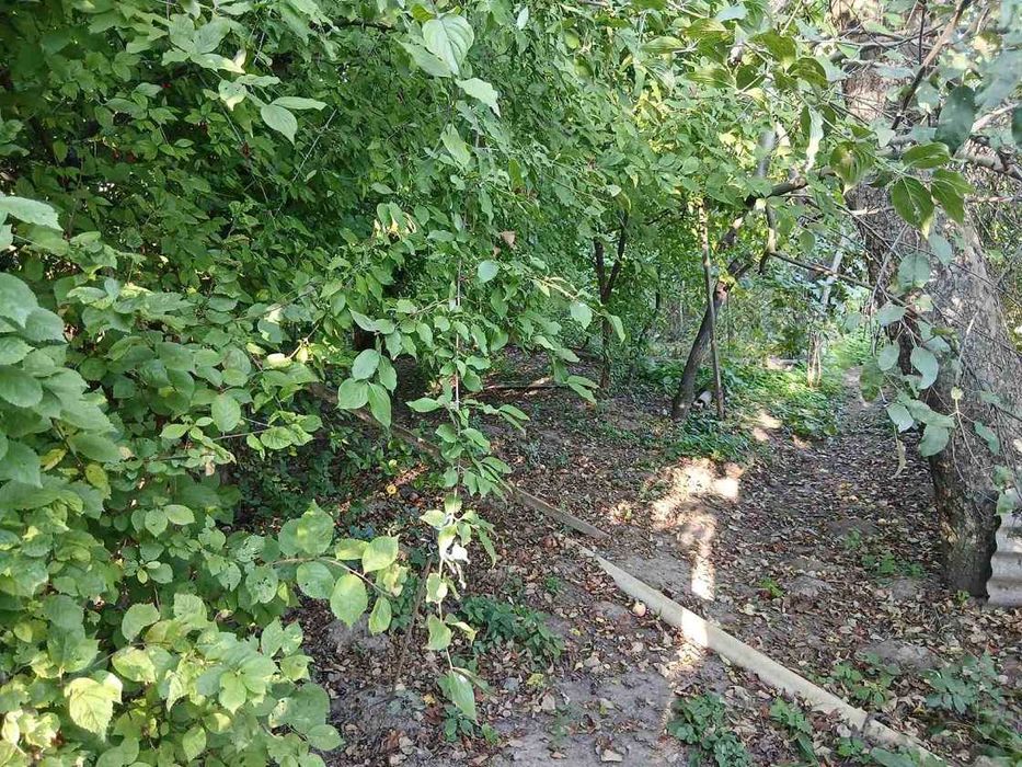 House by the address (area 55 m²) - Atlanta.ua - photo 21