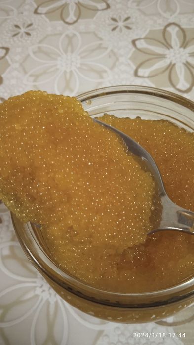 Ікра щуки власного виробництва