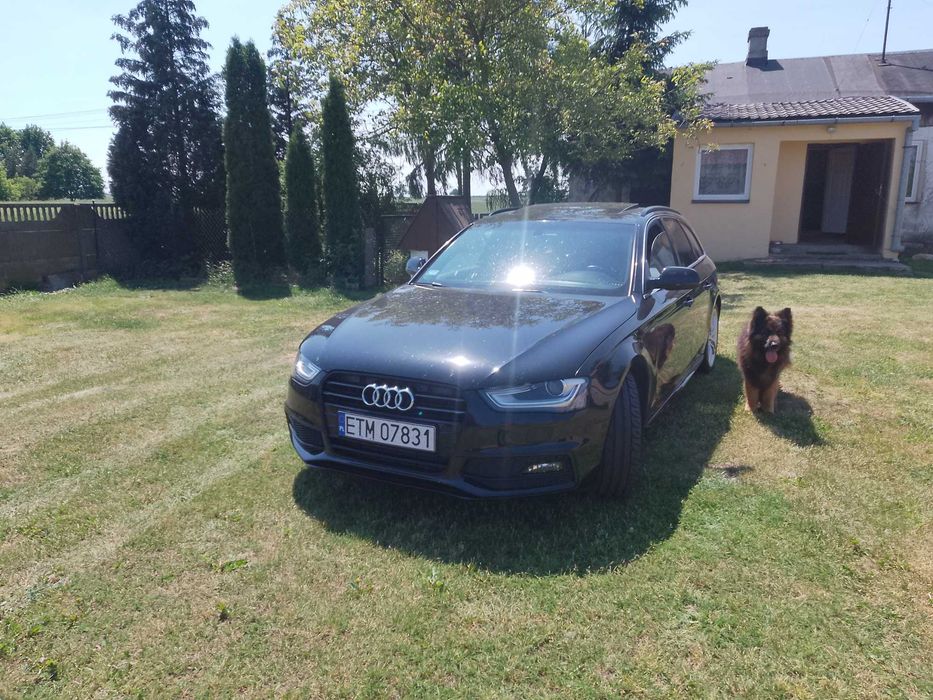 Audi A4 B8 2,0TDi