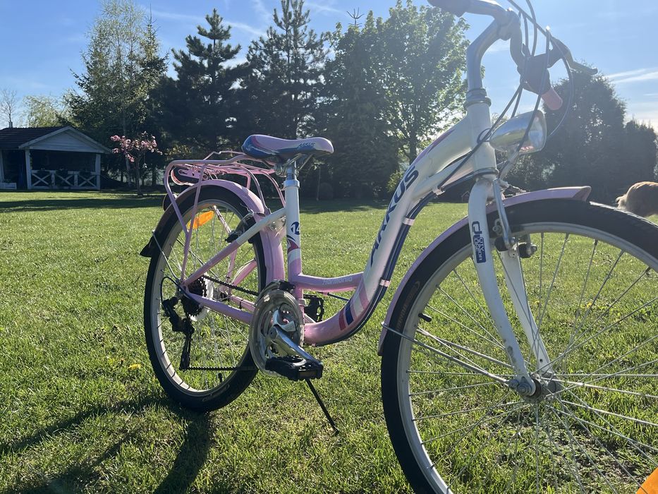 rower dziewczęcy arkus