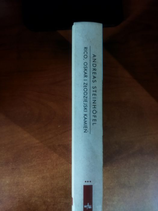 Książka Rico, Oskar i Złodziejski Kamień