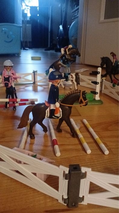 Zestaw Playmobile Country