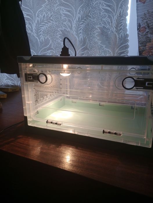 Террариум  акриловый