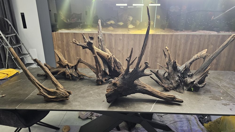 Korzenie do akwarium