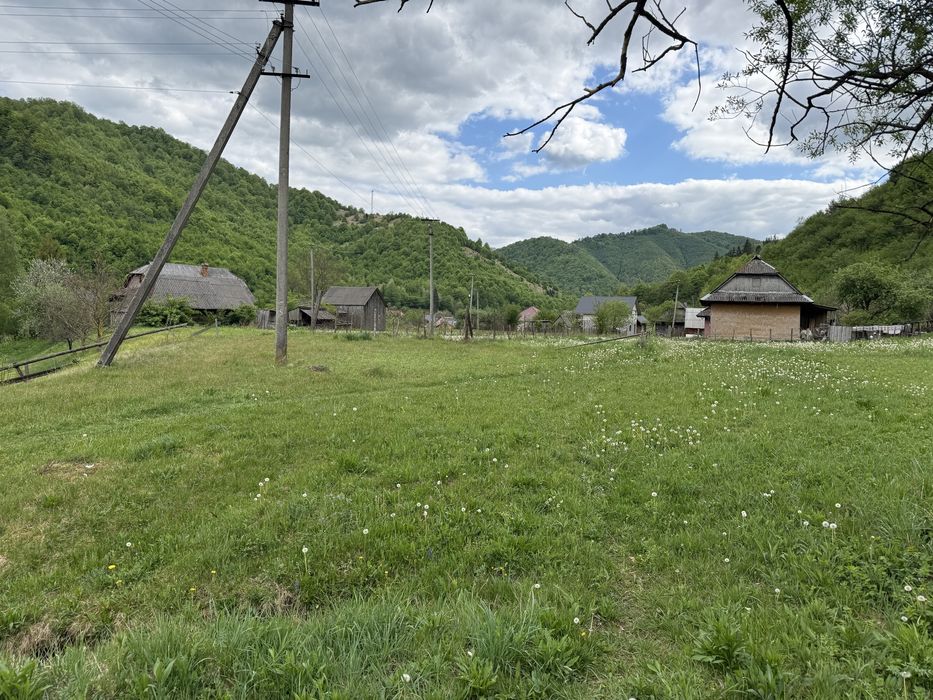 43 сотки землі в Карпатах, с. Запереділля — гори та природа