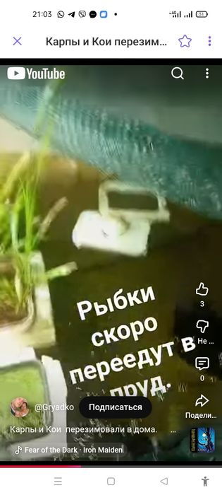 Аквариум узк ёмкость резервуар для рыб воды креветок раков