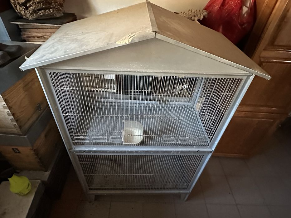 Vendo gaiolo como nova