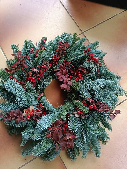 Wieniec naturalny mix 50cm