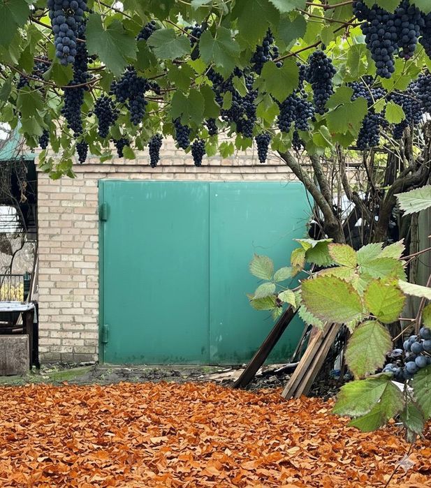 Продам вінтажний будиночок 77кв.м+17 соток з виходом до озера.